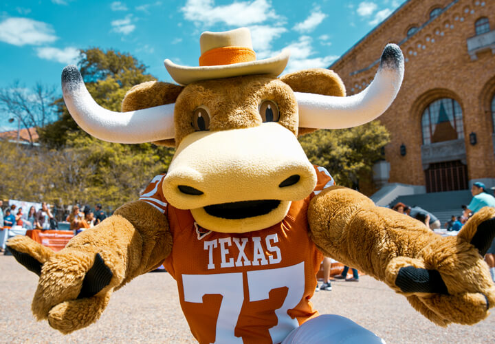 Bevo mascot wearing University of Texas jersey